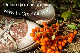 Онлайн фотовыставки