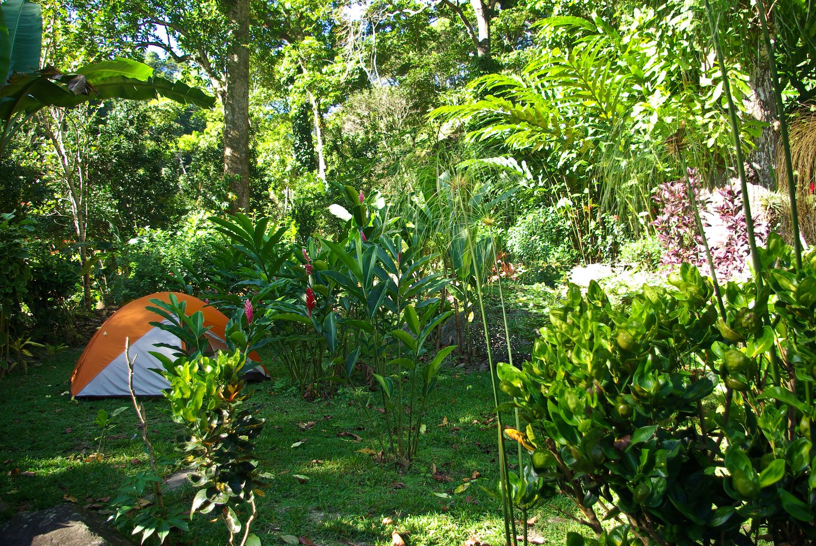 Uraca, Hacienda Picaflor