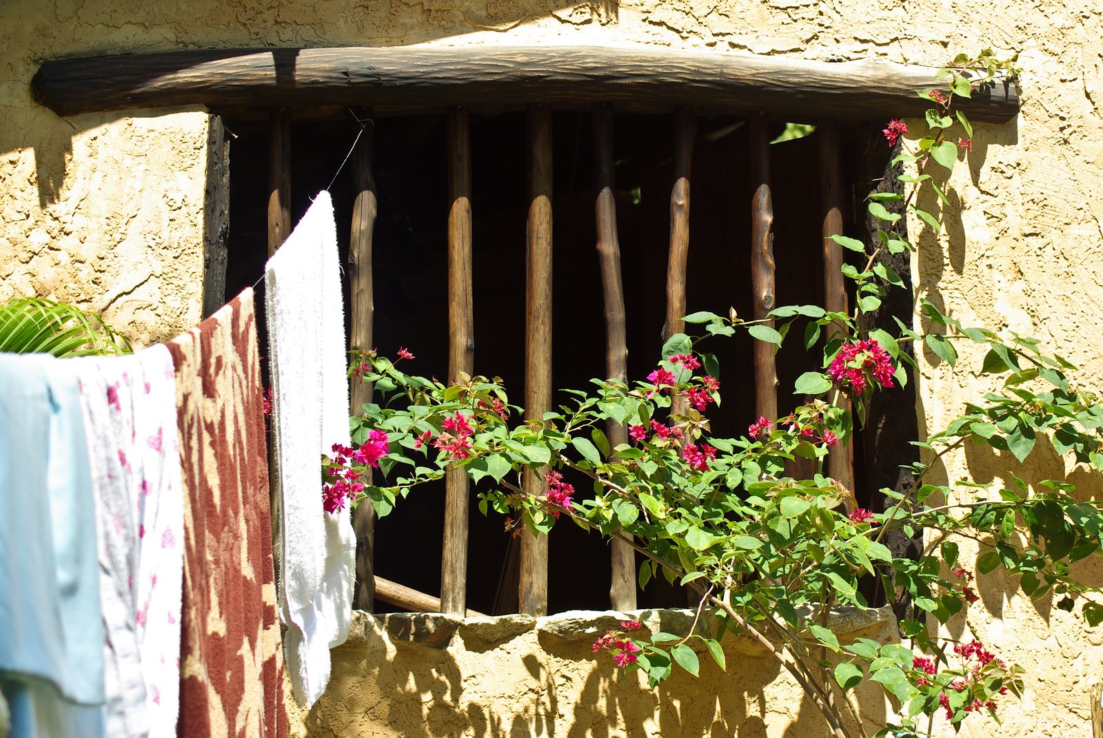 Uraca, Hacienda Picaflor